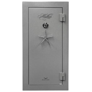 Black Hawk Gun Safe Series (BHS-22E)