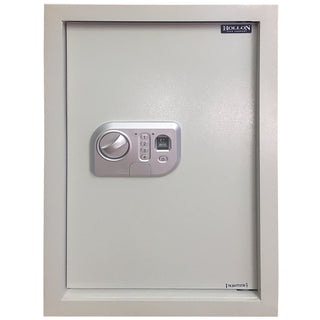 Biometic Wall Safe