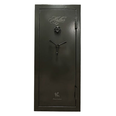 Dominion Series Gun Safes (GRAY DOM-16C)